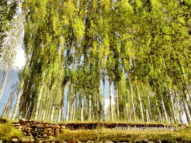 روستای ورزنه