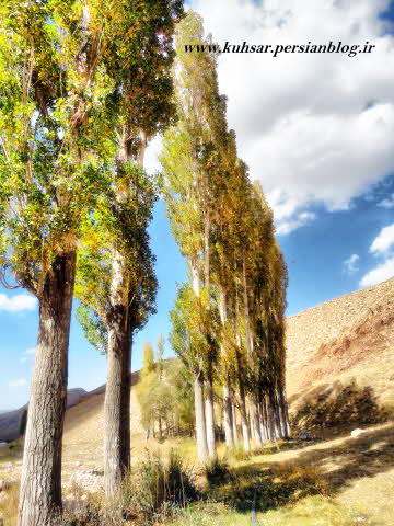 روستای ورزنه