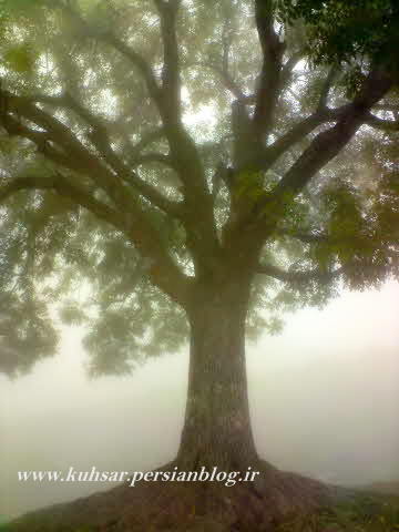 روستای ورزنه