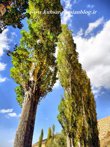 روستای ورزنه